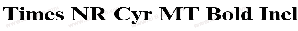 Times NR Cyr MT Bold Inclined字体转换